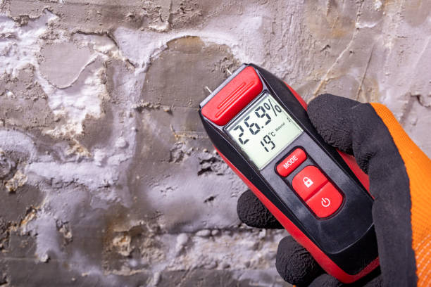 Best Toxic Mold Removal  in South Hempstead, NY