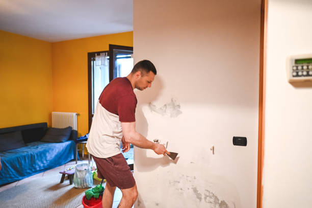 Best Mold Removal and Inspection  in South Hempstead, NY